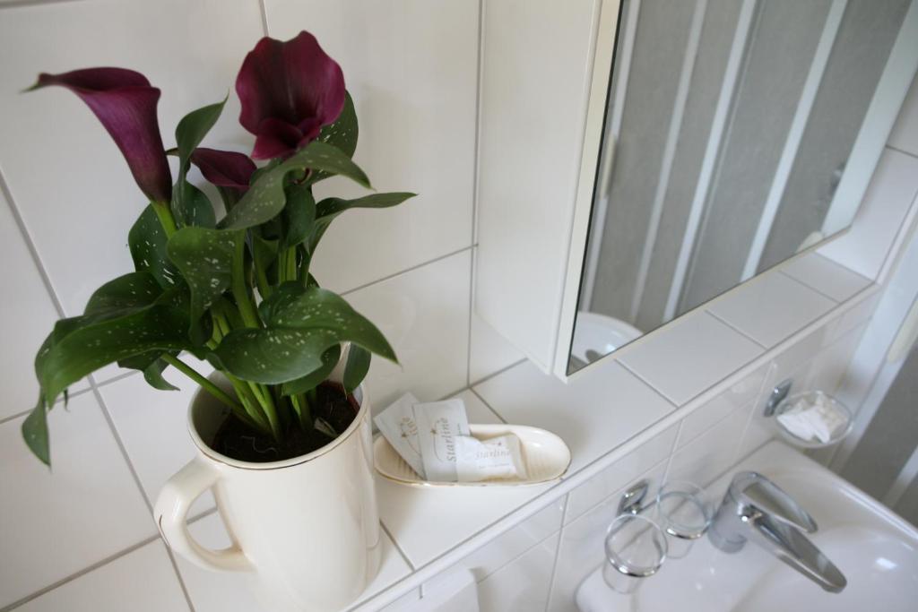 Hotel Restaurant Morgarten Unterägeri 部屋 写真